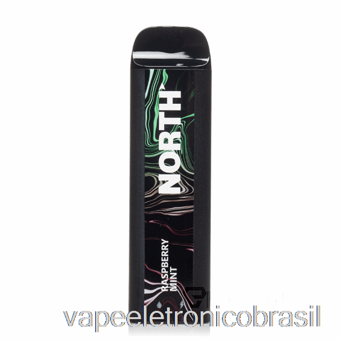 Vape Recarregável North 5000 Descartável Framboesa Mint